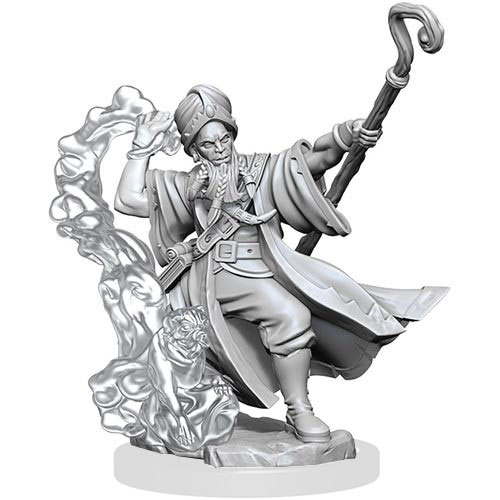 Фреймворки D&D: W1 Мужчина-человек-волшебник
